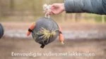 Minge de joacă pentru cai din piele întoarsă, cu bucle pentru gustări, albastră – Excellent Horse Fun Play Ball Suede - imagine 4