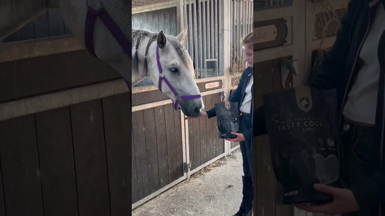 Biscuiți pentru cai cu măr, 500 g – Excellent Horse biscuiți artizanali pentru cai cu măr - imagine 5