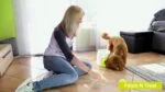 Jucărie pentru recompense pentru câini cu minge de tenis – AFP Interactives Fetch'N'Treat Original - imagine 3