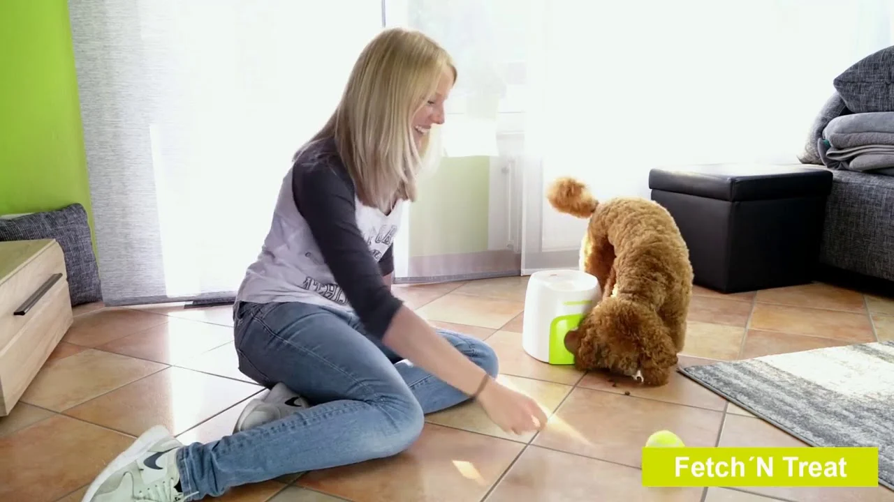 Jucărie pentru recompense pentru câini cu minge de tenis – AFP Interactives Fetch'N'Treat Original - imagine 3