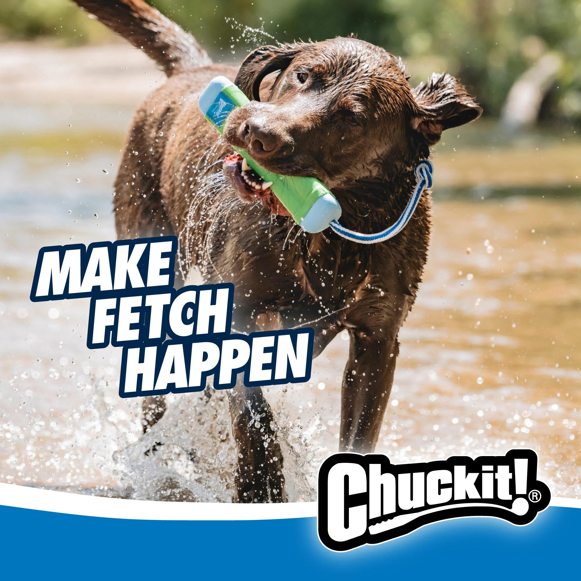 Dummy de aport cu frânghie, plutitor, ø 5 cm x 25 cm – Chuckit! Amphibious Bumper M - imagine 4