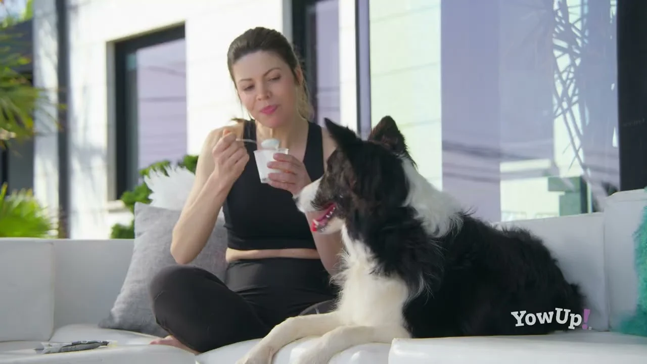 Iaurt pentru câini cu prebiotice, fără lactoză – YowUp! Yogurt Dogs Prebiotics Natural - imagine 3