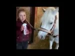 Spray pentru descurcarea coamei și cozii cailor, 250 ml – Lucky Horse Unicorn Knuffel Spray - imagine 2